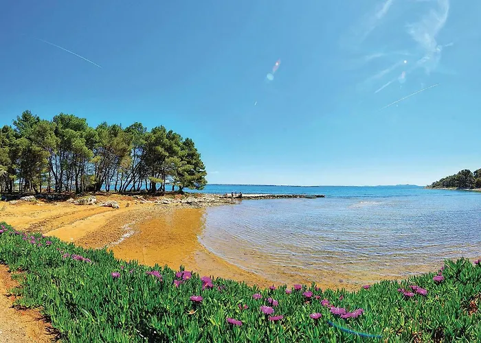 شقة Stari Put V *